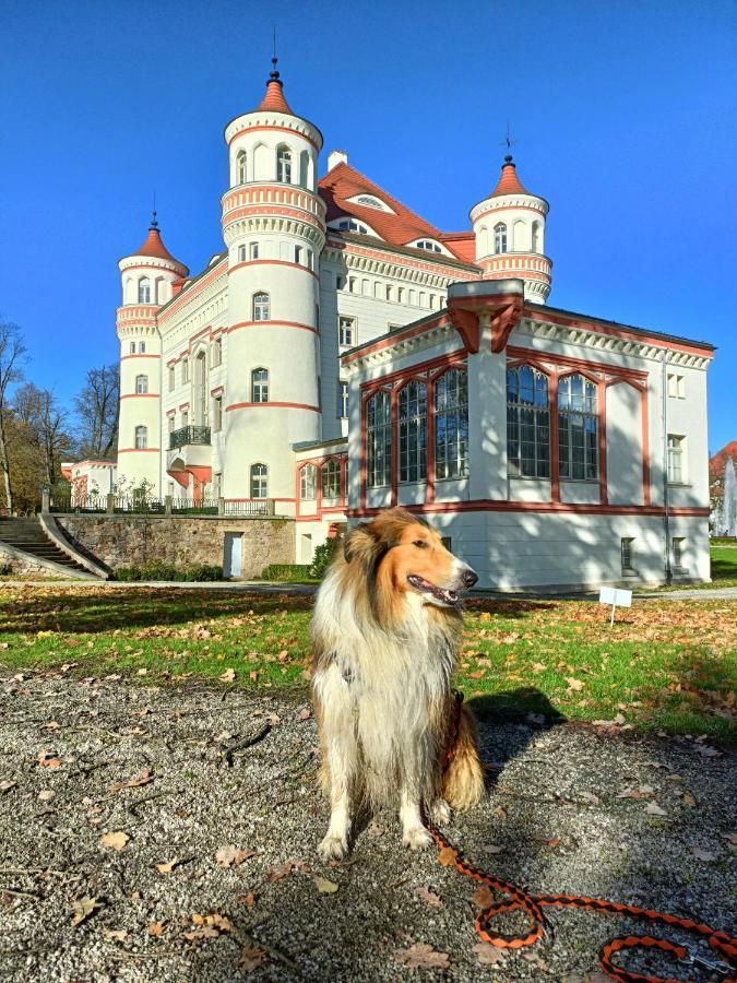 Apartament Widokowy Karkonosze Warmbrunn エクステリア 写真